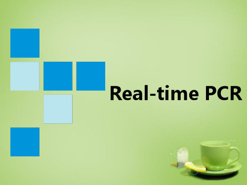 Real-time-PCR及产品介绍PPT课件