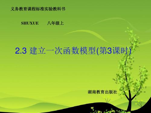 湘教版八年级上2.3建立一次函数模型(3)课