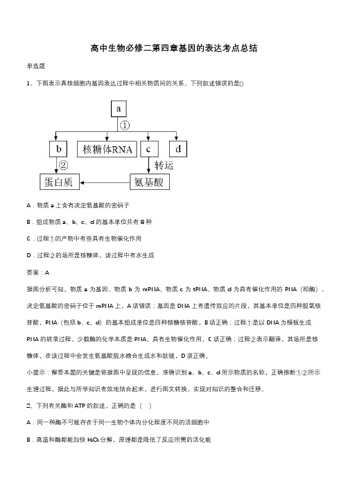 高中生物必修二第四章基因的表达考点总结(带答案)