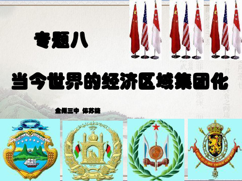 人民版高中历史必修二8.2《当今世界经济区域集团化的发展》教学课件(共28张PPT)