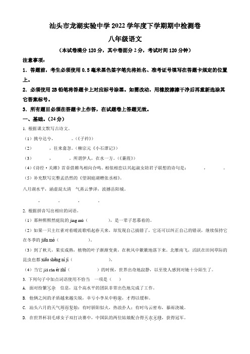 广东省汕头市龙湖实验中学2022学年八年级下学期期中语文试题(含答案与解析)