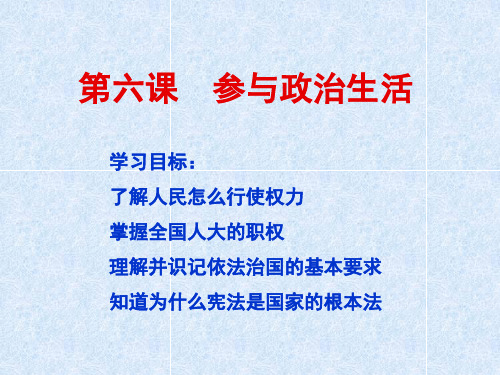 参与政治生活复习PPT参考课件