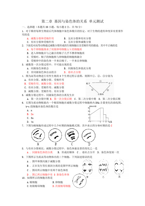 必修二 第二章 基因和染色体的关系 单元测试