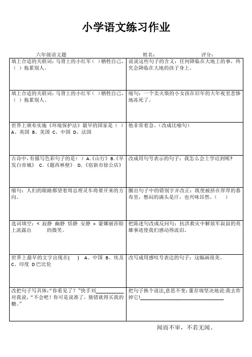 小学六年级语文课堂延伸练习III (3)