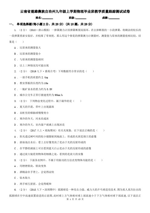 云南省楚雄彝族自治州九年级上学期物理毕业班教学质量跟踪测试试卷