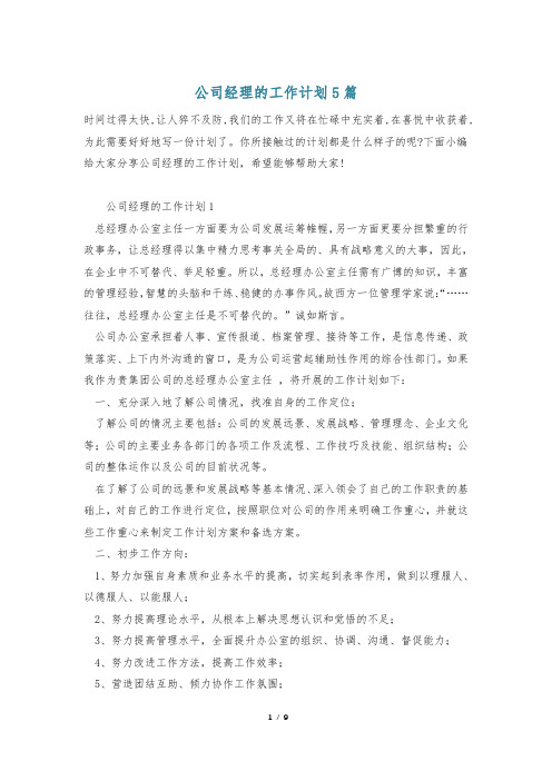 公司经理的工作计划5篇