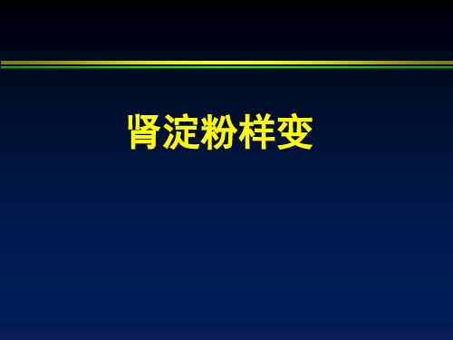 肾淀粉样变PPT课件