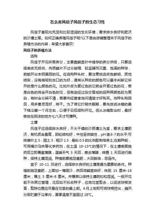 怎么养风信子风信子的生态习性