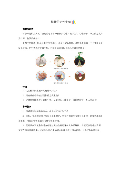 【知识解析】观察与思考植物的无性生殖-副本