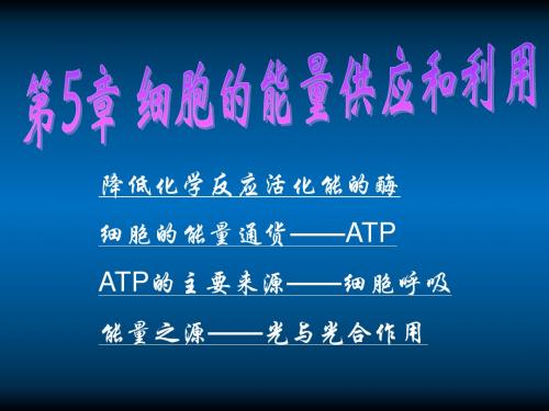 高中生物51降低化学反应活化能的酶课件新人教版必修1