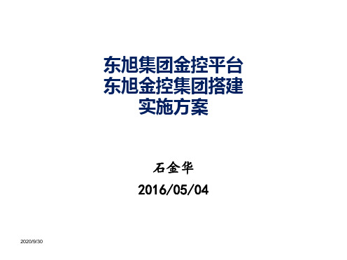 关于东旭集团打造金控集团的业务建议报告 (2)讲义