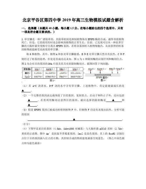 北京平谷区第四中学2019年高三生物模拟试题含解析