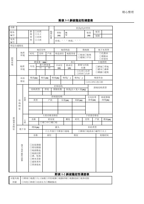 地质灾害野外调查表格模板