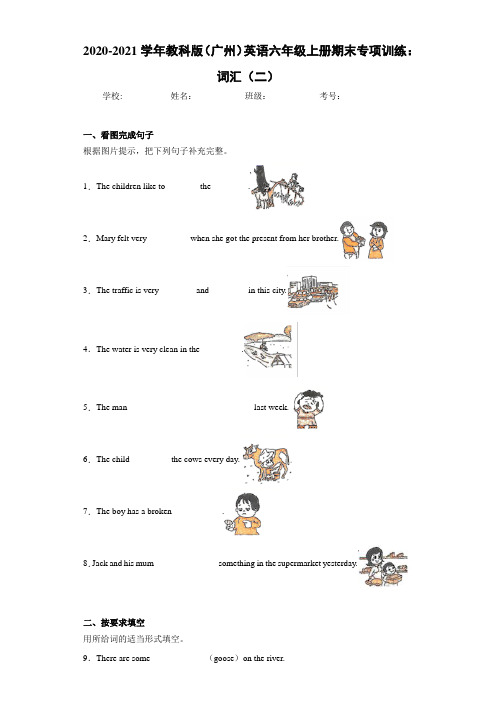 2020-2021学年教科版(广州)英语六年级上册期末专项训练：词汇(二)