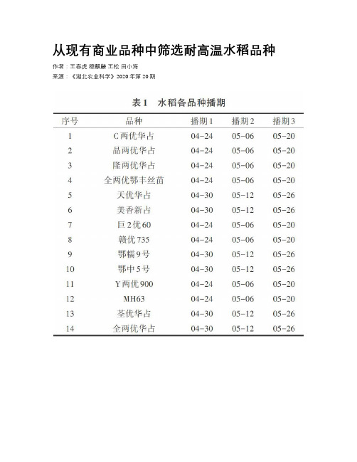 从现有商业品种中筛选耐高温水稻品种