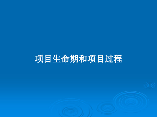 项目生命期和项目过程PPT教案