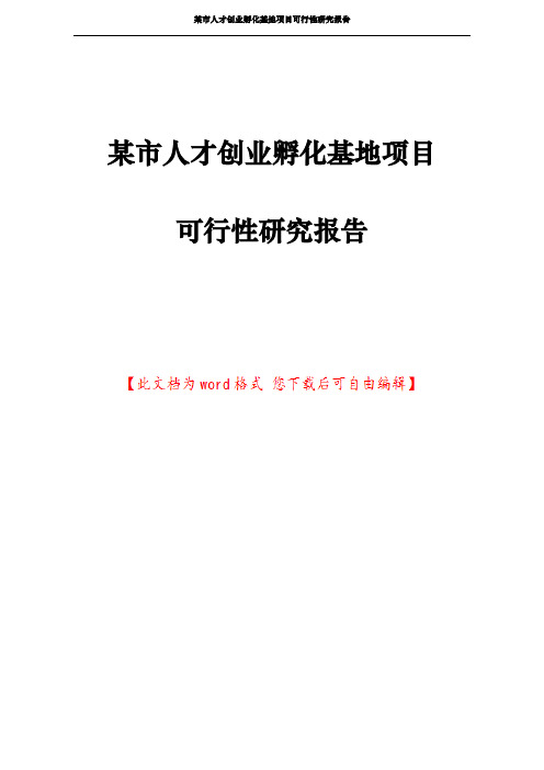 某市人才创业孵化基地项目可行性研究报告