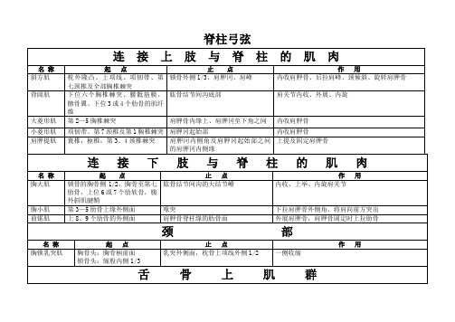 人体弓弦力学系统脊柱 上肢 下肢 关节囊