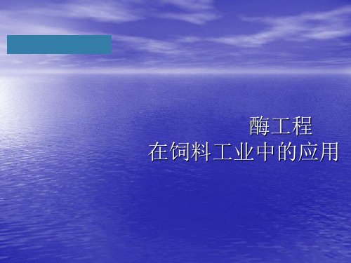 酶工程在饲料工程中的应用PPT课件