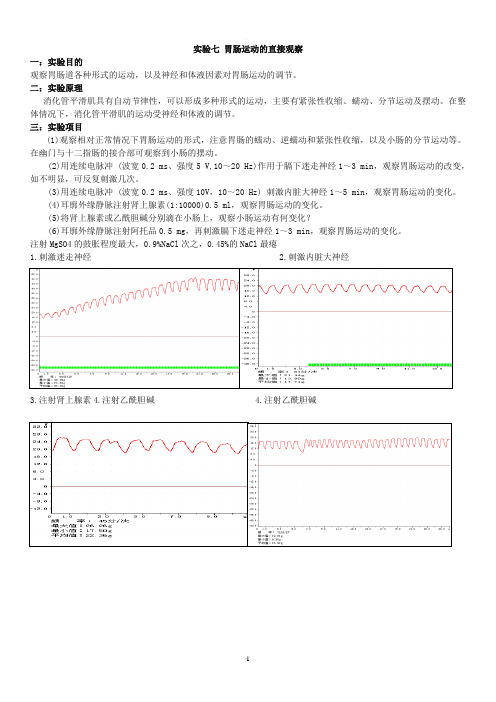 我的实验七 胃肠运动的直接观察