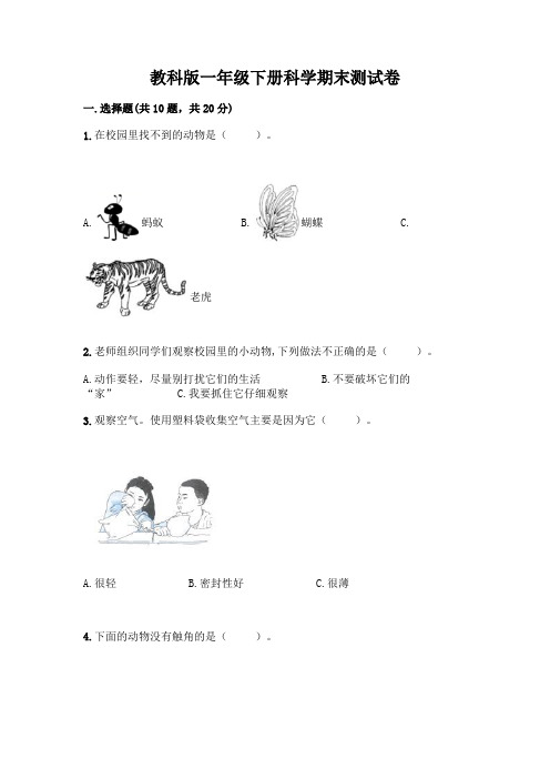 教科版一年级下册科学期末测试卷附参考答案(考试直接用)