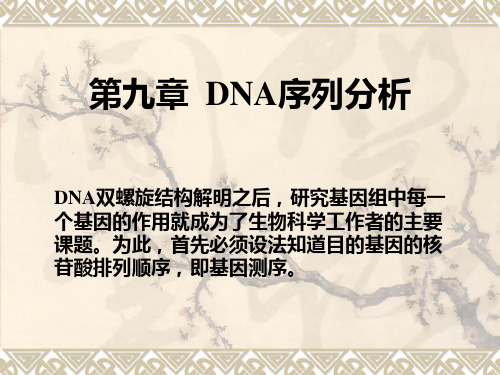 基因工程7-DNA序列分析ppt课件