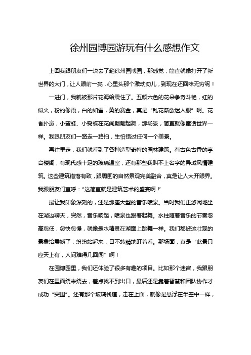 徐州园博园游玩有什么感想作文