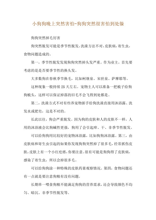 小狗狗晚上突然害怕-狗狗突然很害怕到处躲