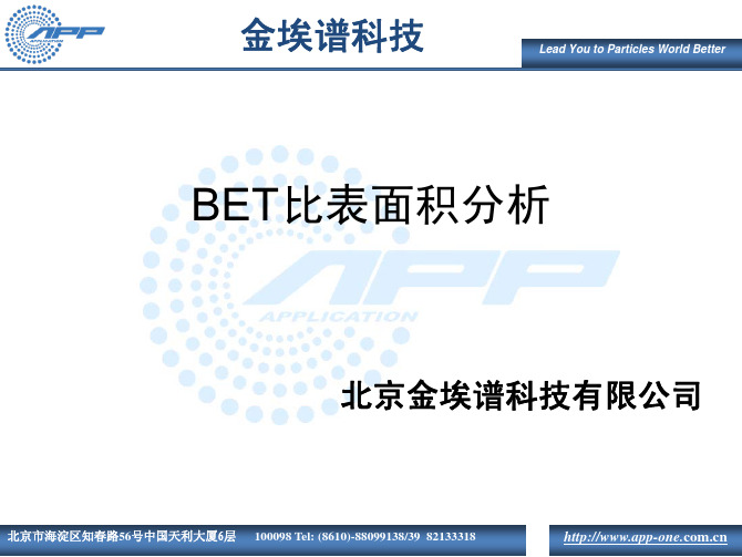 BET比表面积课件