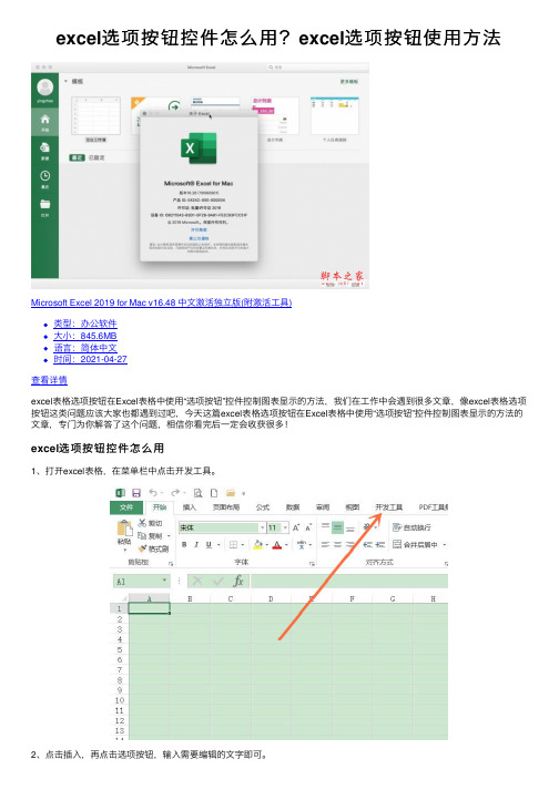 excel选项按钮控件怎么用？excel选项按钮使用方法