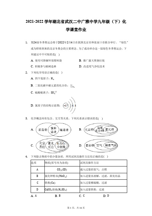 2021-2022学年湖北省武汉二中广雅中学九年级(下)化学课堂作业(附答案详解)