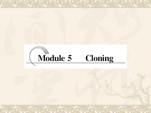 高考英语一轮复习【精品教学】Modules 1~6  Module 5课件 外研版选修6