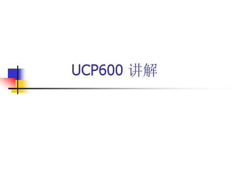 UCP600 讲解