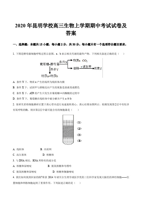 2020年昆明学校高三生物上学期期中考试试卷及答案