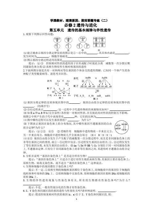 学透教材、理清原因、规范答题专练(二)必修2遗传与进化