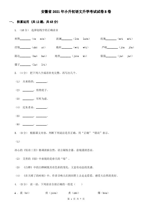 安徽省2021年小升初语文升学考试试卷B卷(新版)