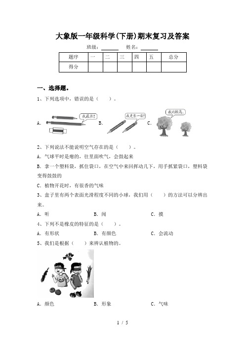 大象版一年级科学(下册)期末复习及答案