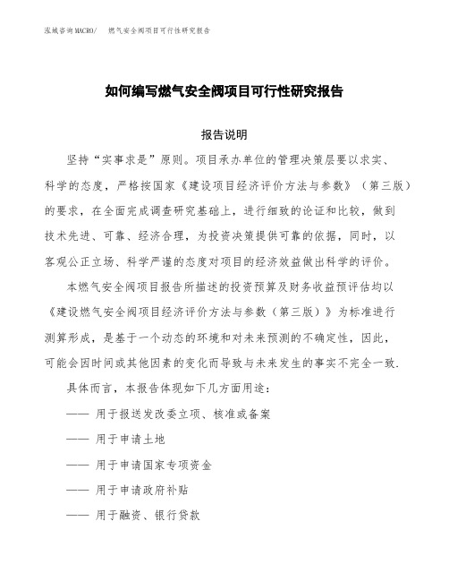 如何编写燃气安全阀项目可行性研究报告