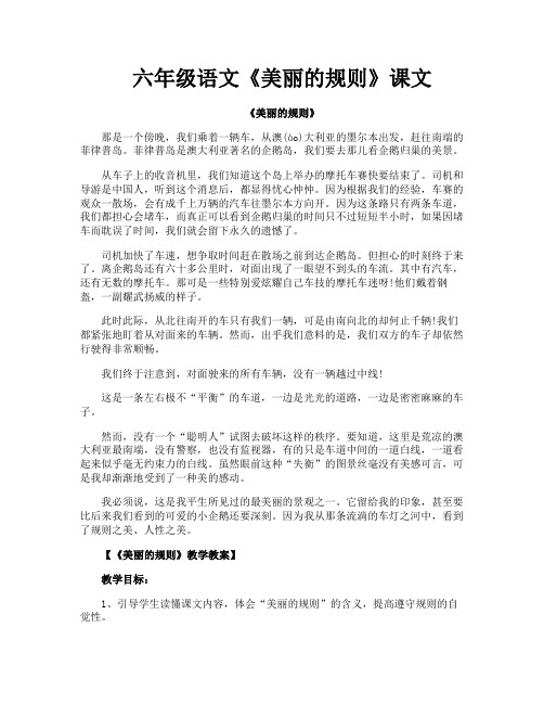 六年级语文《美丽的规则》课文