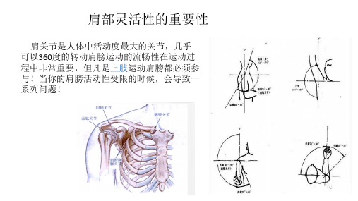 肩关节灵活处理方法