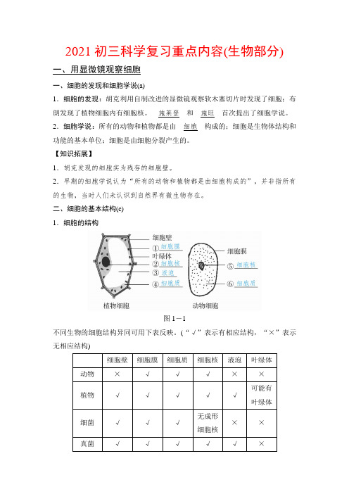 2021浙江省初三科学中考复习重点内容(生物部分)