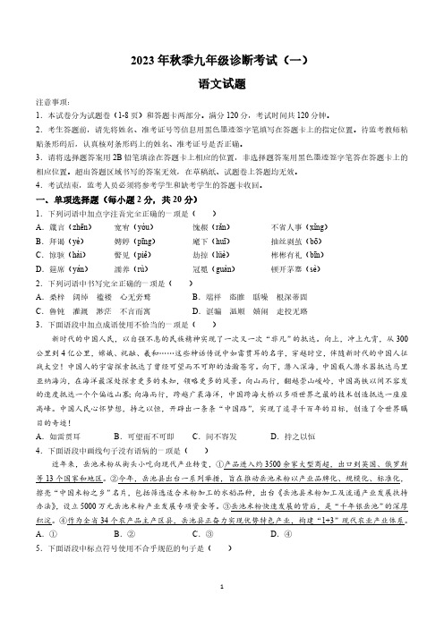 2024年四川省广安市岳池县中考一模语文试题(含答案)