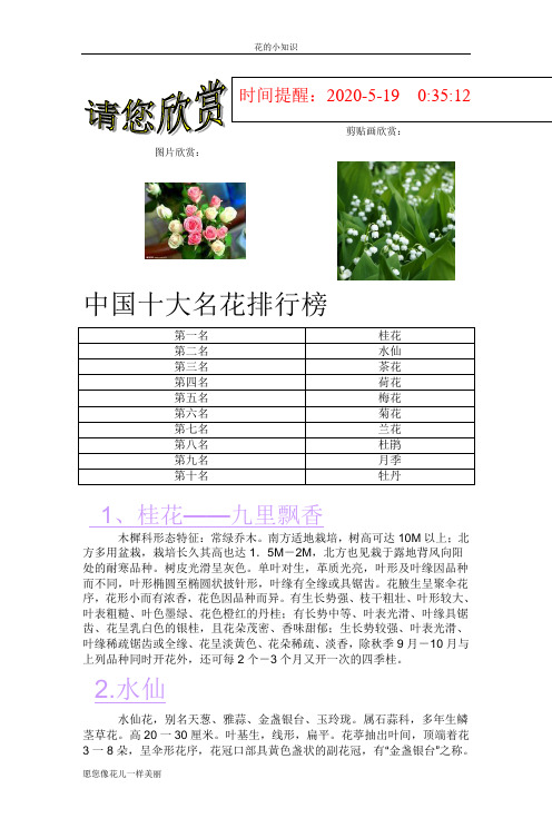 中国十大名花排行榜