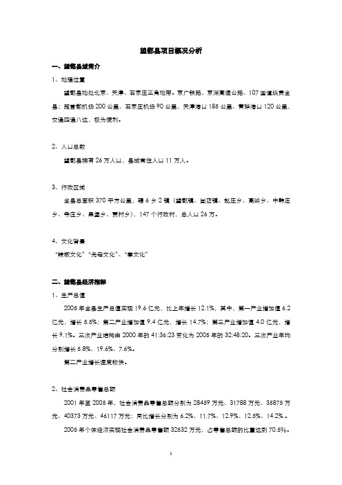 望都商业项目分析