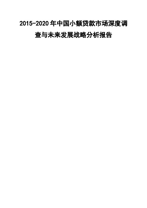 中国小额贷款市场深度调查与未来发展战略分析报告