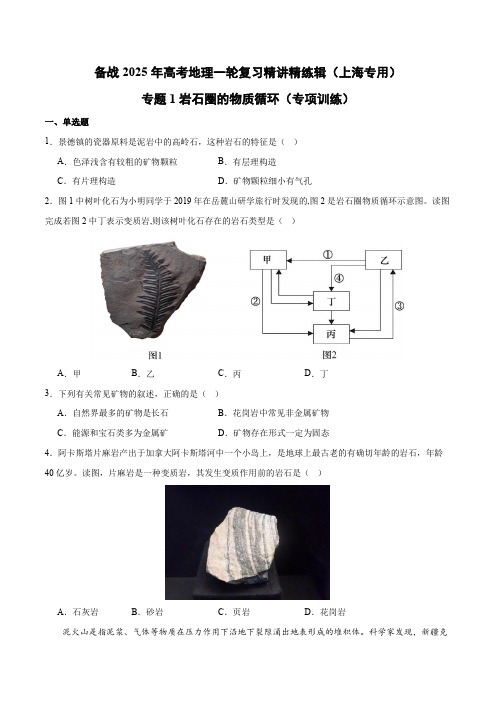 专题1岩石圈的物质循环(专项训练)-备战2025年高考地理一轮复习精讲精练辑(上海专用)(原卷版)