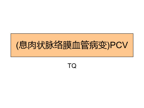 7.pcv-息肉状脉络膜血管病变