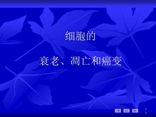 细胞的衰老、凋亡和癌变ppt 人教课标版