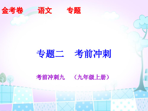 2020年中考语文考前冲刺九    (九年级上册)