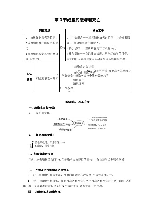 新教材人教版必修1 第6章 第3节 细胞的衰老和死亡 学案